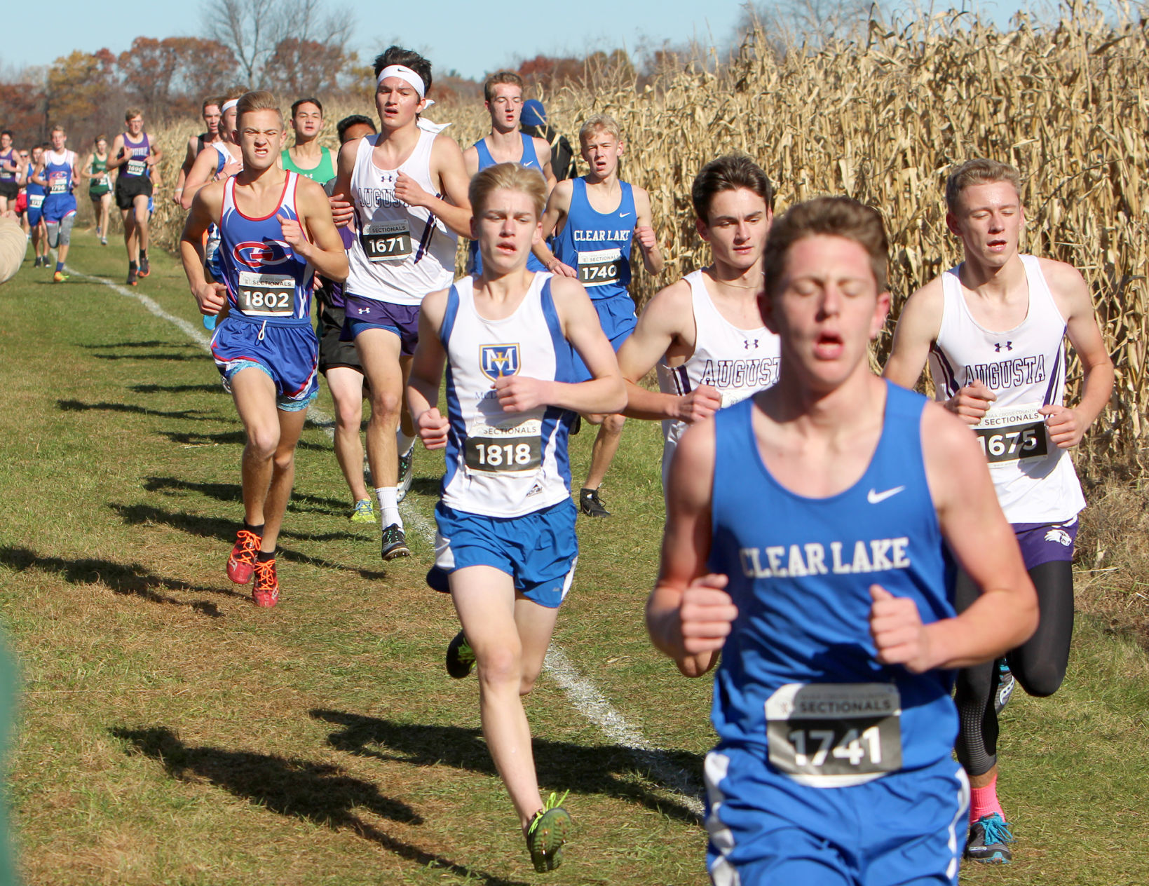 Division 3 Cross Country Sectionals in Boyceville 10-26-19
